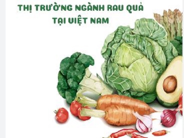 Tiêu dùng xanh lên ngôi, thị trường rau sạch bùng nổ