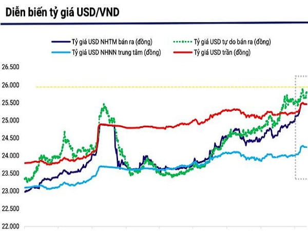 Xu hướng tỷ giá USD năm 2024