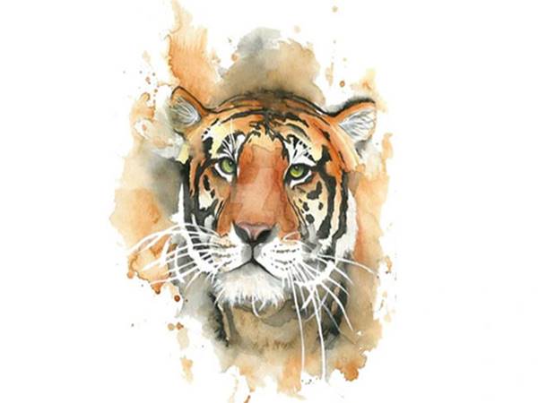 Tử vi ngày 11/7/024 tuổi Dần: Ngày nhiều phiền muộn áp lực