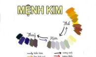 Khám phá ngay: Mệnh Kim hợp màu gì để hút lộc?