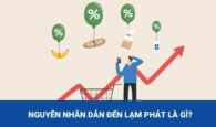 Những nguyên nhân nào dẫn đến hiện tượng lạm phát