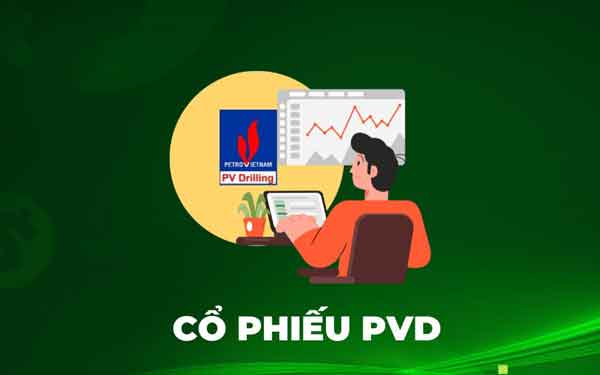 Dánh sách cổ phiếu ngành đầu khí PVD có tiềm năng phát triển lớn trong tương lai
