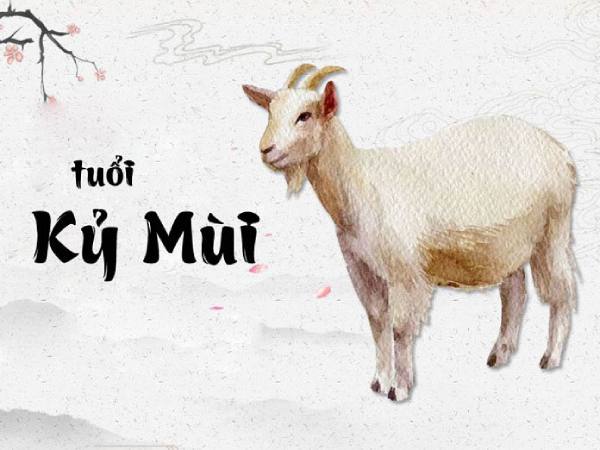 kỷ mùi 