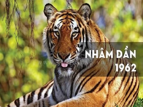 Tử vi tuổi Nhâm Dần ngày 26/3 có gì?