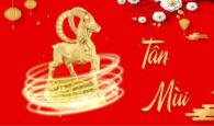 tuổi tân mùi