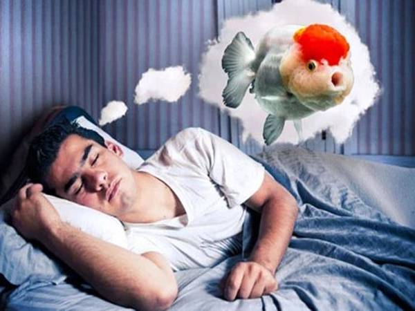 Nằm mơ thấy làm thịt cá là điềm gì