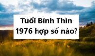 Tuổi Bính Thìn 1976 hợp số nào để thành công, giàu có?