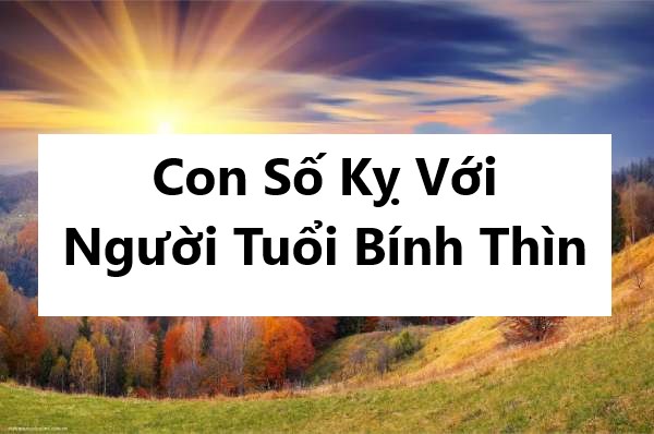 Con Số Kỵ Với Người Tuổi Bính Thìn