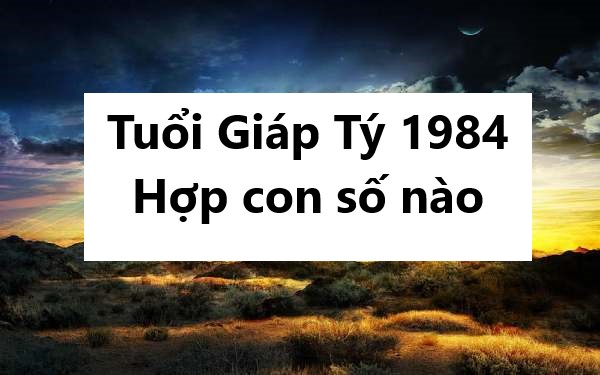 Tuổi Giáp Tý 1984 hợp con số nào