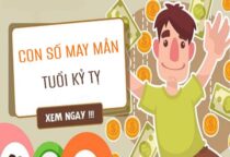 Phân tích con số may mắn tuổi Kỷ Tỵ siêu chính xác