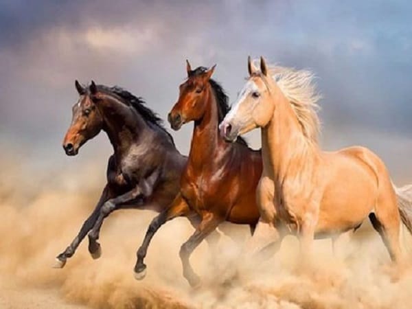 Tổng quan vận trình tuổi Ngọ ngày 10/4/2026